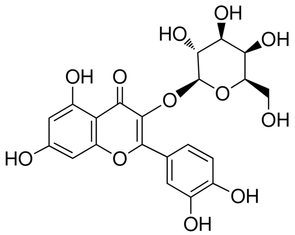 金丝桃苷分析对照品,≥97.0% (HPLC),482-36-0、Quercetin 3-D-galactoside,≥97.0％ (HPLC)